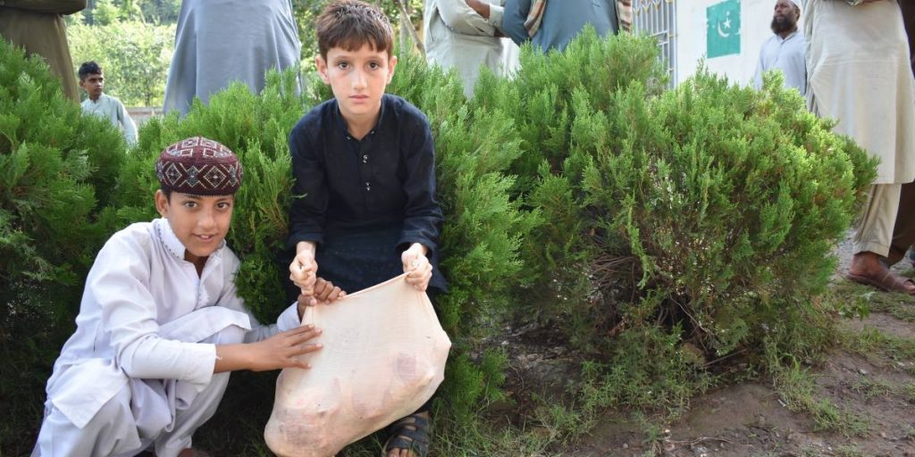 Qurbani 2021: A Summary of Your Sacrifices!