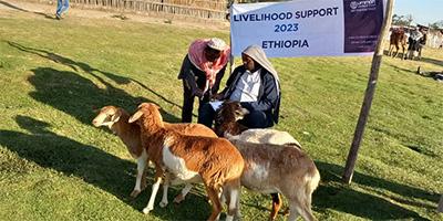 Providing Incomes to Ethiopia’s Teachers