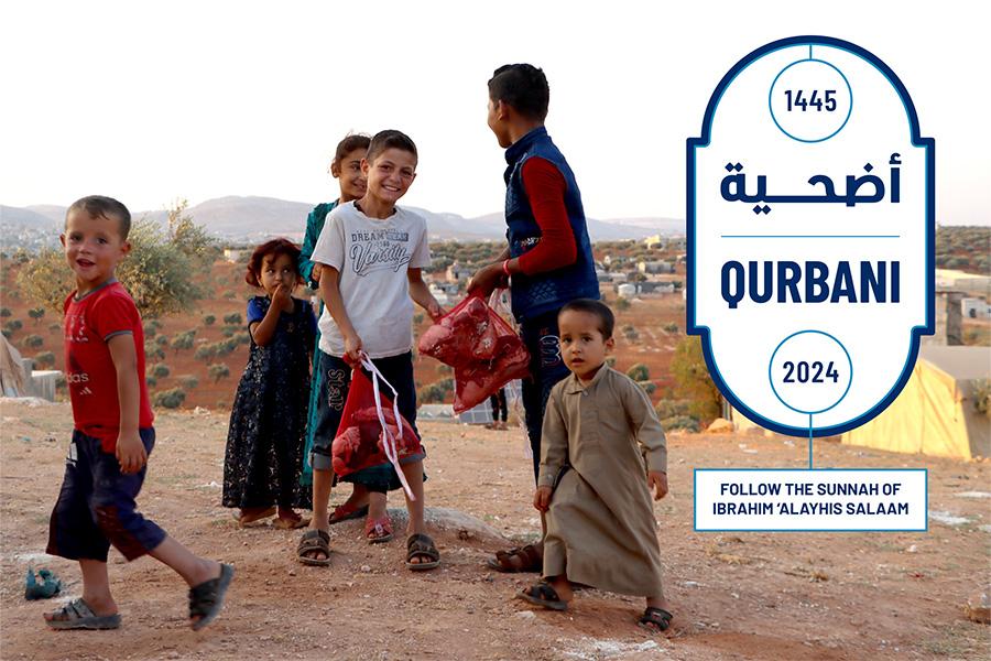 Qurbani 1445: Follow the Sunnah