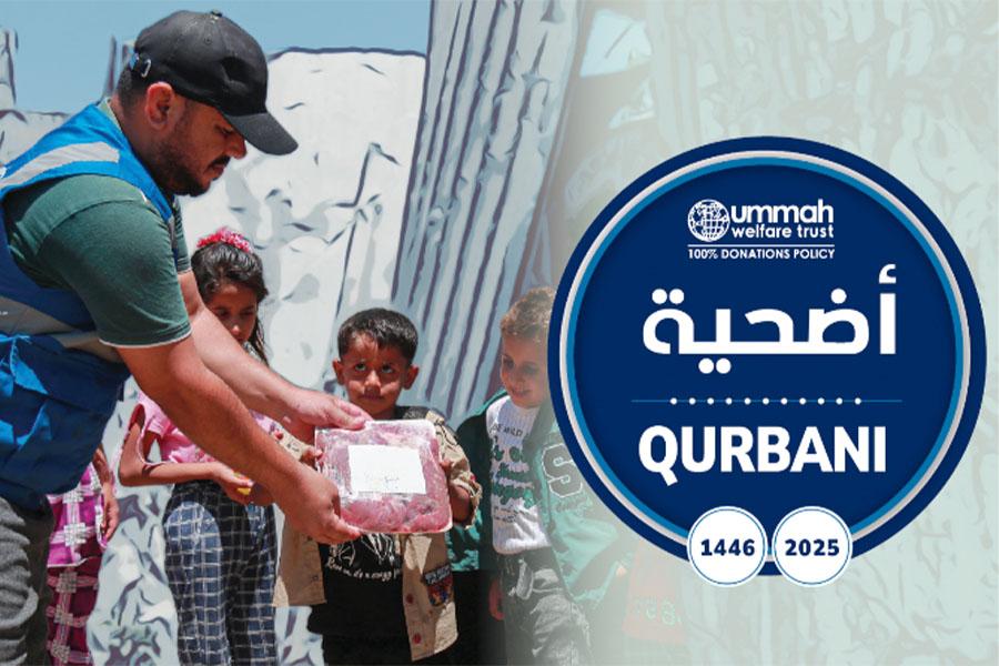 Qurbani 1446 (2025): Follow the Sunnah